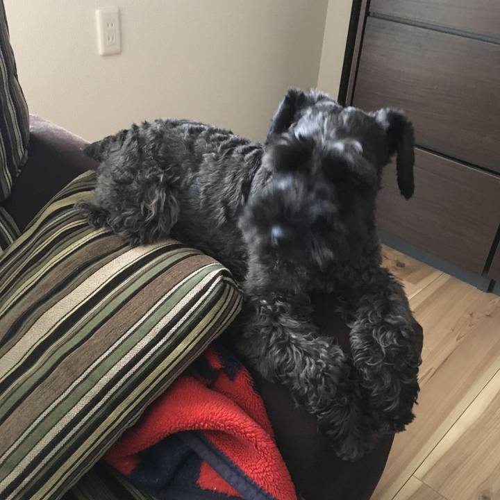 5fff49c3 d848 469d aff3 ea51784eefbc