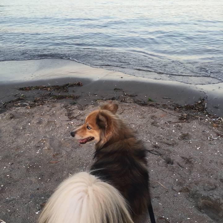 60008ceb d00f 4a27 9ea3 30a8f9709412