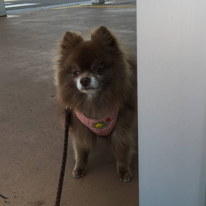 6000926d 499b 4908 98e4 d0b44349b83f