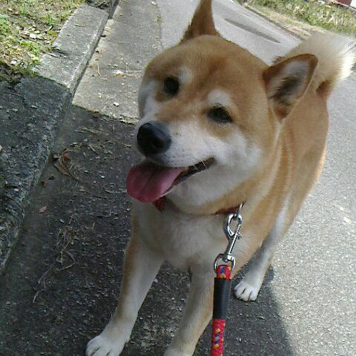 60012e76 3acd 45a4 af1d 7626d2eb773e