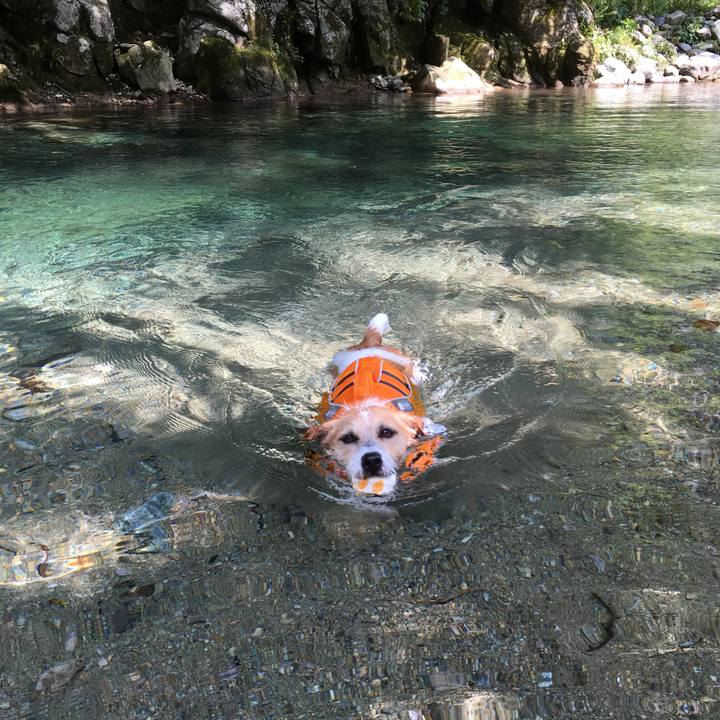 6001af74 2b6e 43ae ac09 bece843eec6c