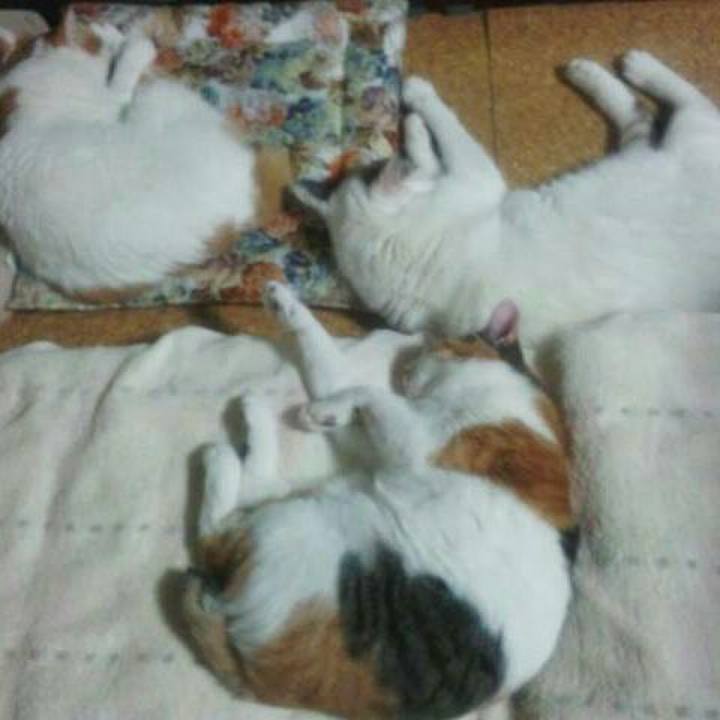 6001fc1b 3d0e 4024 881f 1f8c516b911b