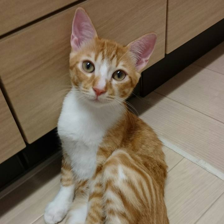 6002b3f1 9ca8 4bdc ad8c 62642efca0d7