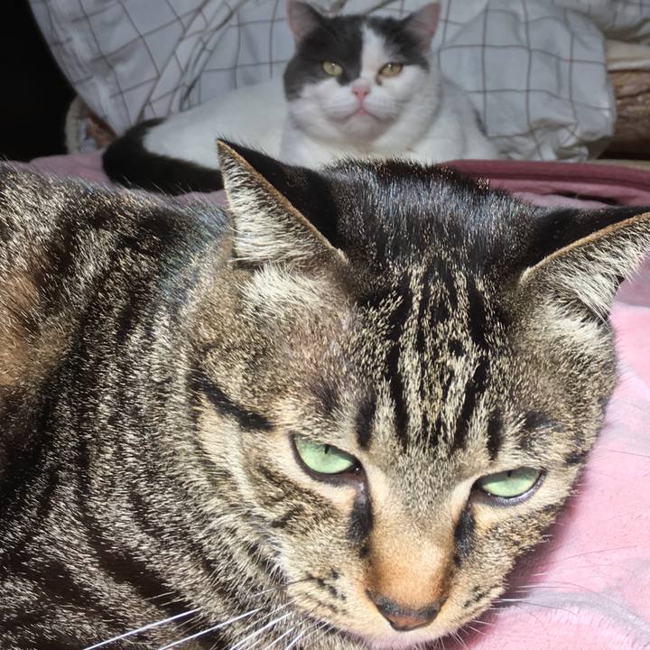 6002edc5 3732 4ea8 b5e1 94cb17b4086a