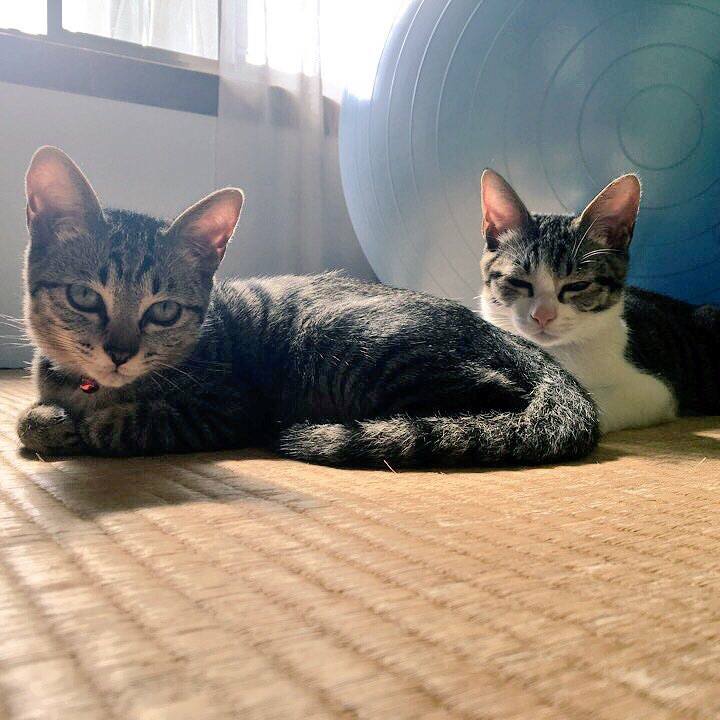 6002fa0f 230a 4586 b00f 20ceeb83a815