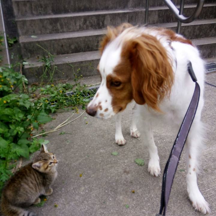 6003774f cb1e 4102 aff2 563f1a88b063