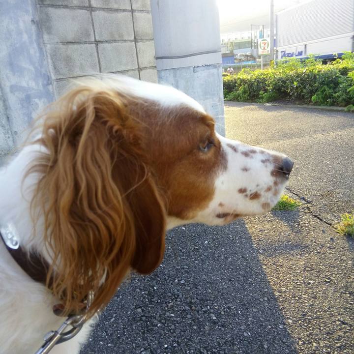 60038edd c7a5 414a 841d 27d344fdc0ce