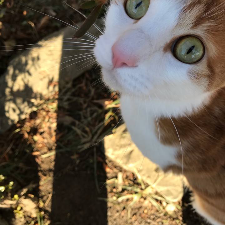 60046163 bc93 4914 a630 4d3f4a2144dc