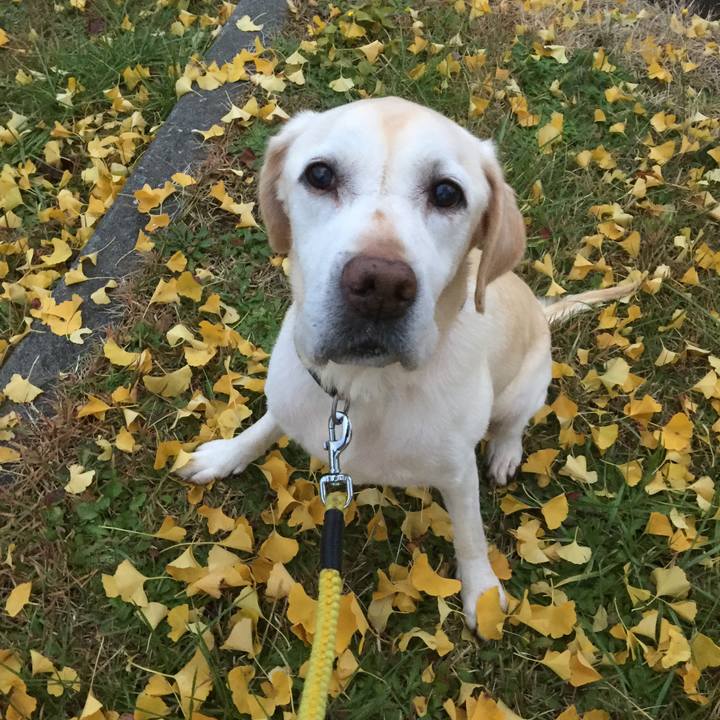 600492c3 0d48 48ea bdaa a67e715a1006