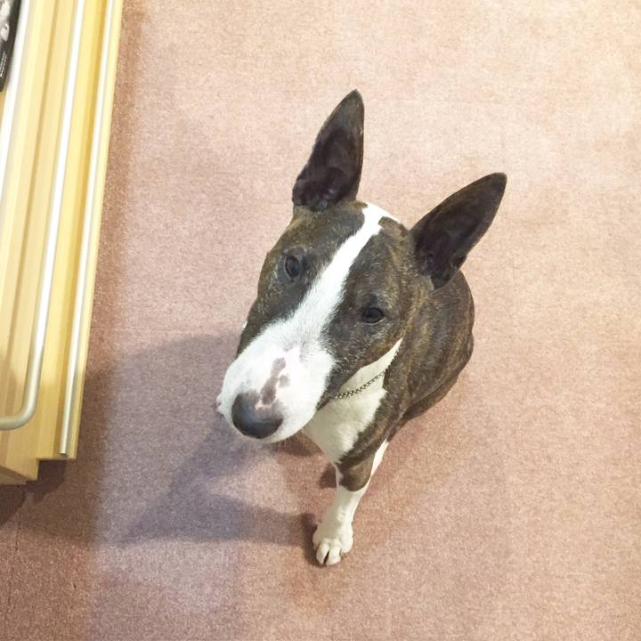 6004afce ae2f 4167 b9ef 836c52573417