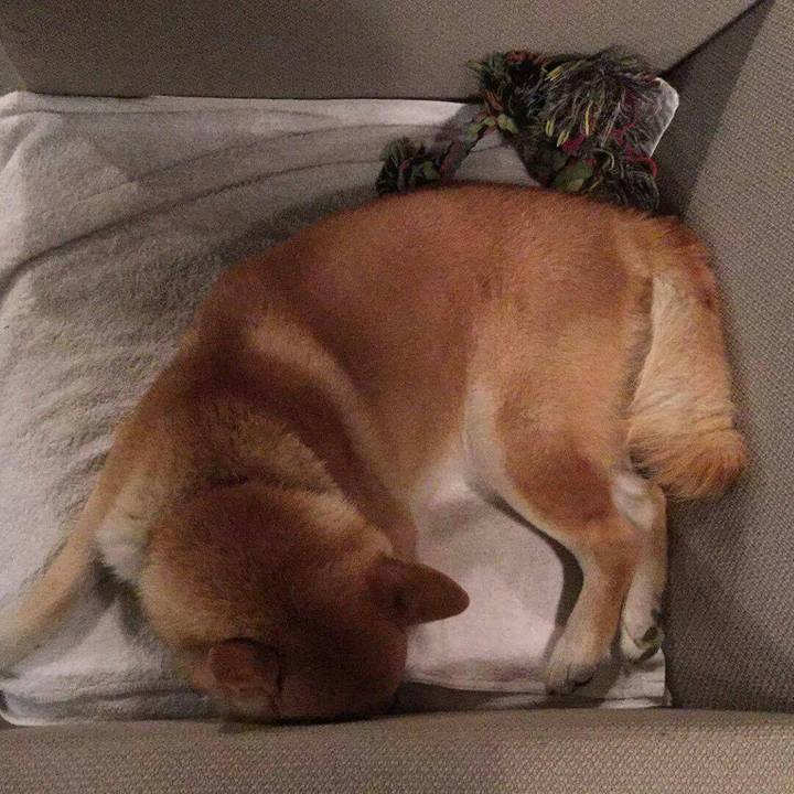 60052fd0 7b02 43d8 89c1 cd0ee8ebfca0