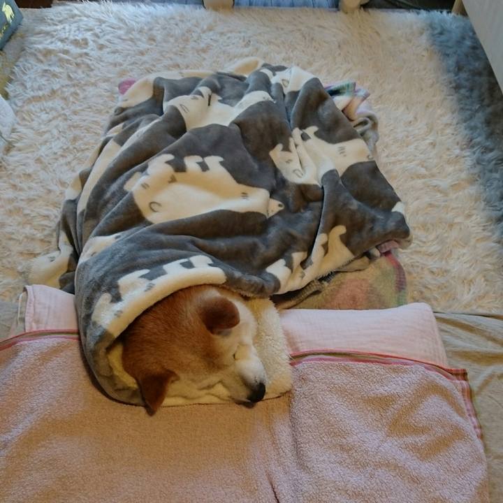 600532fd 79a9 413d b341 63f8a5b77647