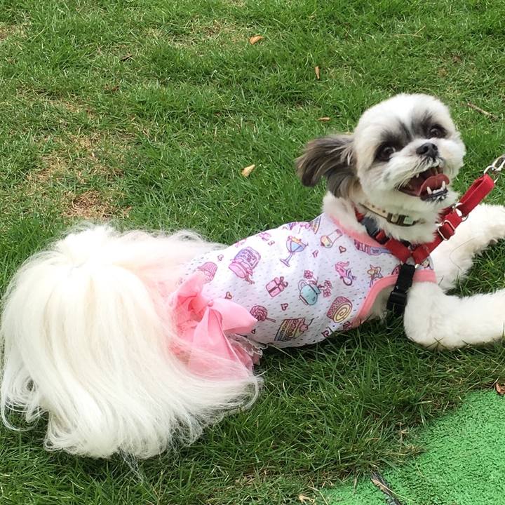 60053e84 5eea 468b 918b 973220a12bbb