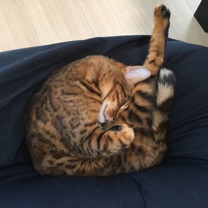 6005bf0f 24be 4270 9268 99ec18d88c23