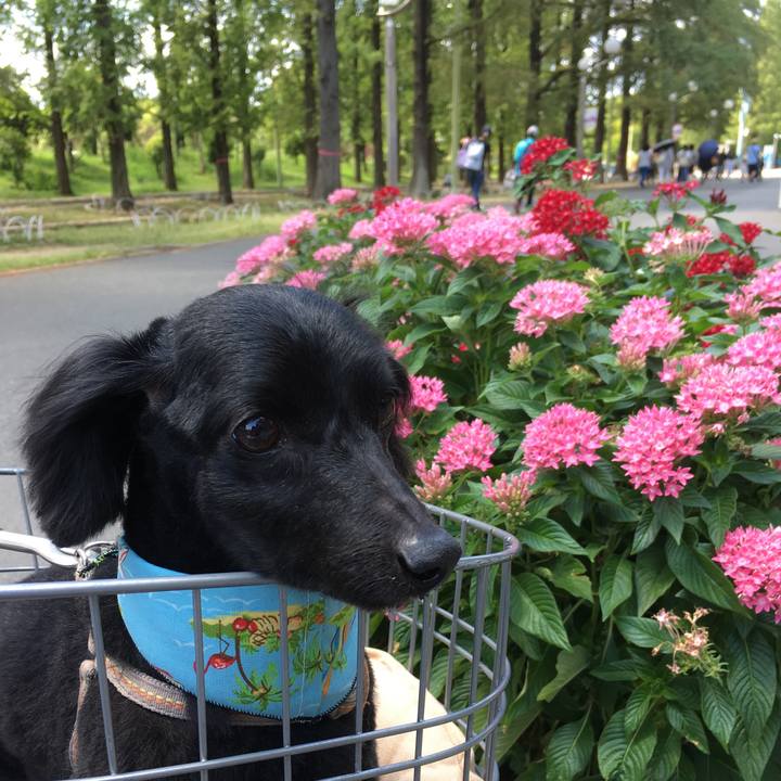 6005c3df c0d6 4d9b a386 b71ec0db142c