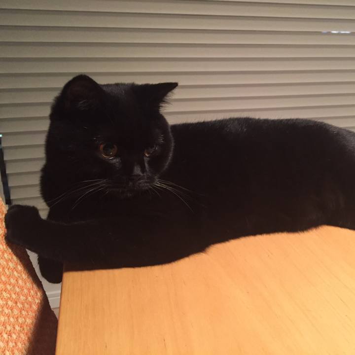 6005f2b9 b5b0 4c3a aff2 2f002d3e9c61