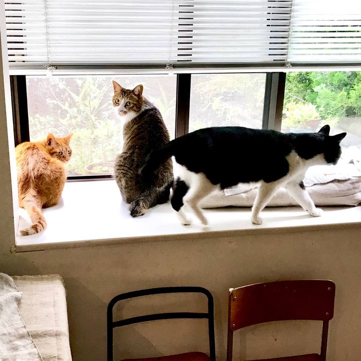 60060aa0 3dcf 4369 baea 639d2492154f