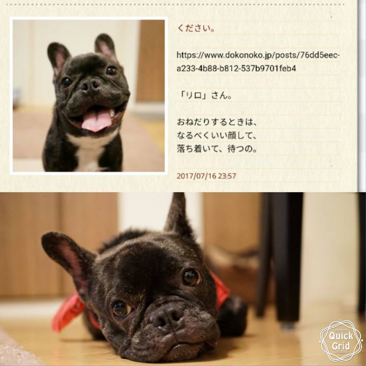 60066288 498a 4c0b 828f ea5e02a29172