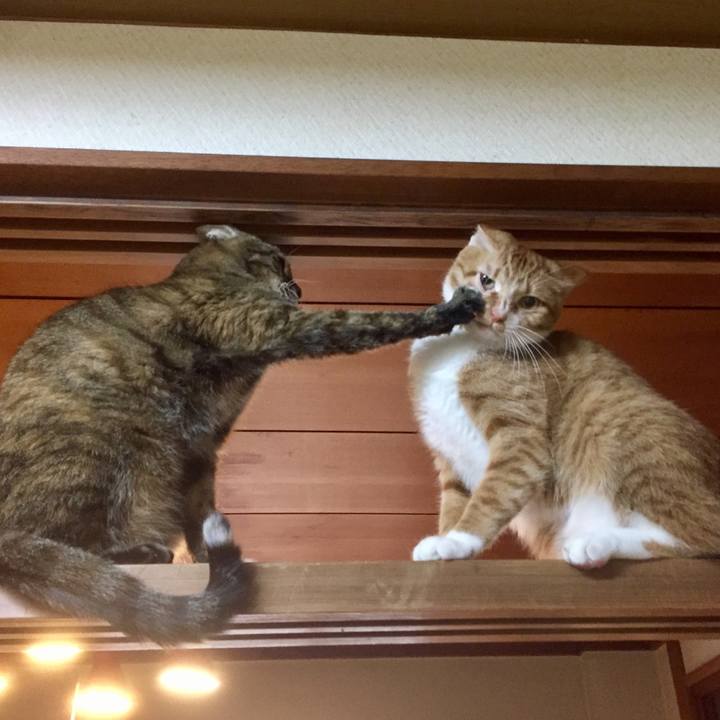 6006b3dd 446e 49eb af22 ff2eb9f163bb