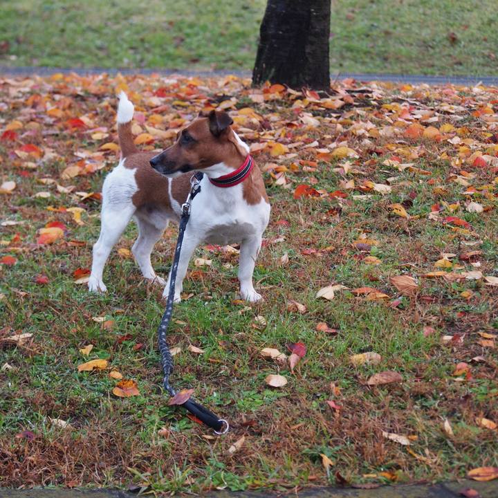 60071d2e c253 4ff7 a821 bcbb84ecb0e0