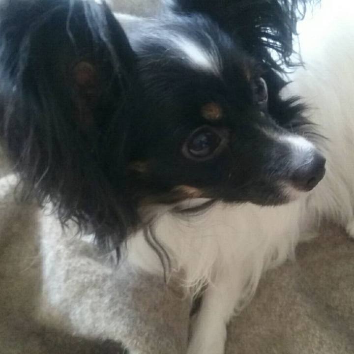 60074166 8265 4f0c 9385 d712cef5c874