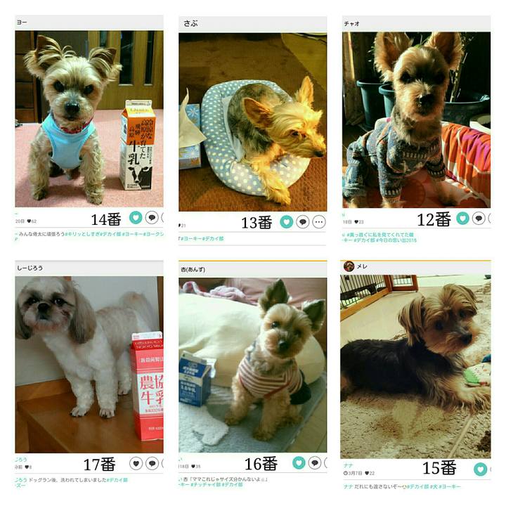 60078e25 c1c6 4180 a6b4 56c472073f20