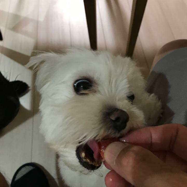 6007ba7b 5445 4460 a317 0004d20e5fde