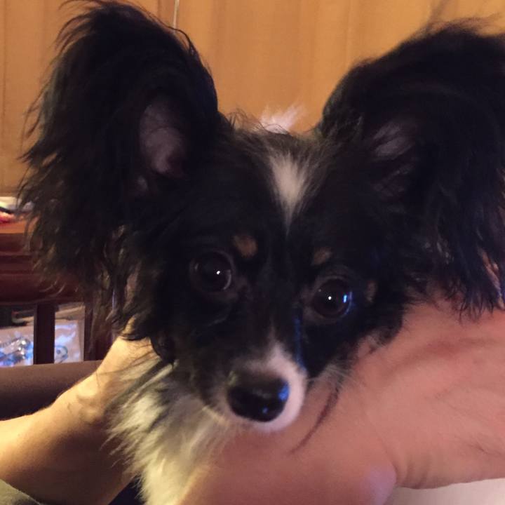 60080628 896f 4a86 9f10 14ce71999986