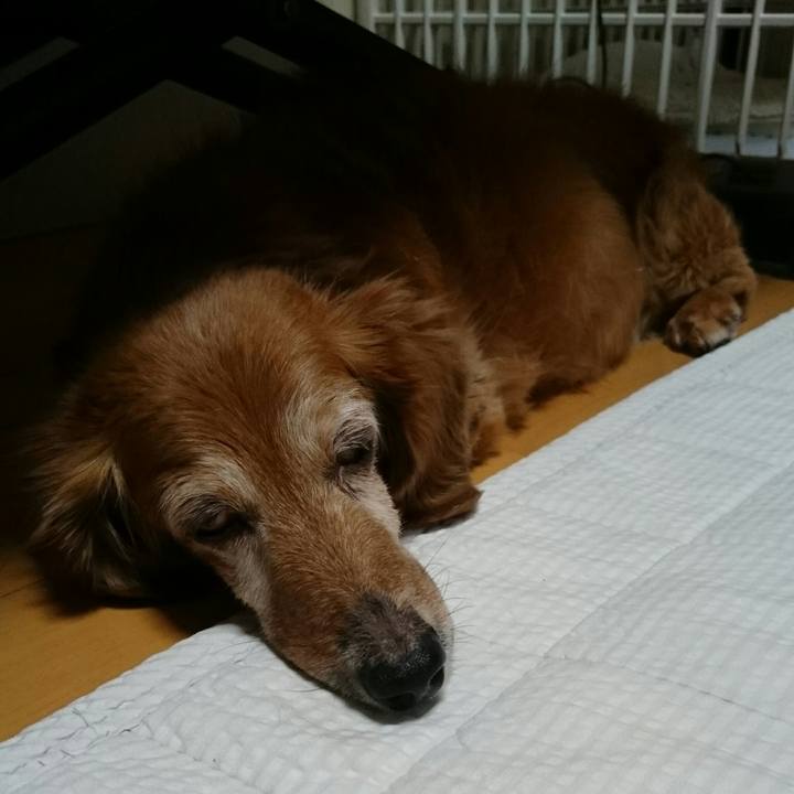 60086144 7684 4c0e 8326 e591095a7ff2