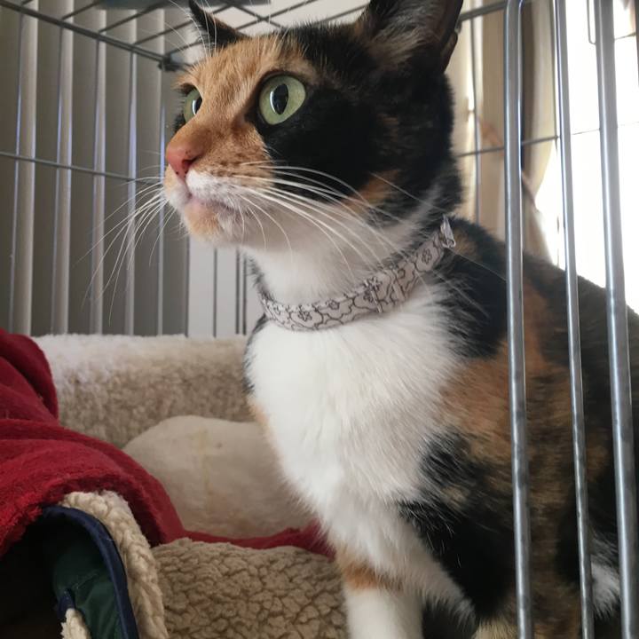 600864be 07a3 44b6 9b79 9046f120db80