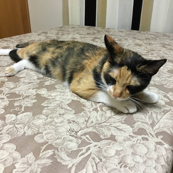 6008942d cfdc 4dab 9ded 69ddf443a5c2