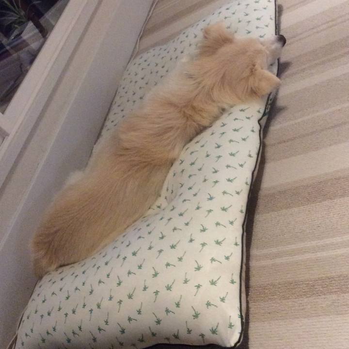 6008b3e8 b342 487b b0e4 ad894202c4fc