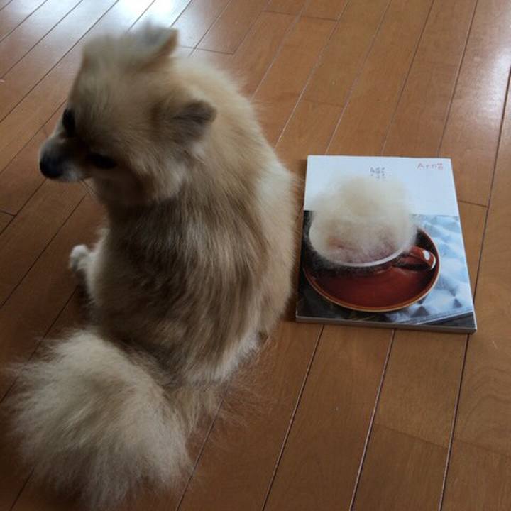 6008baec 926c 4db4 83e8 ab7ba98eb699