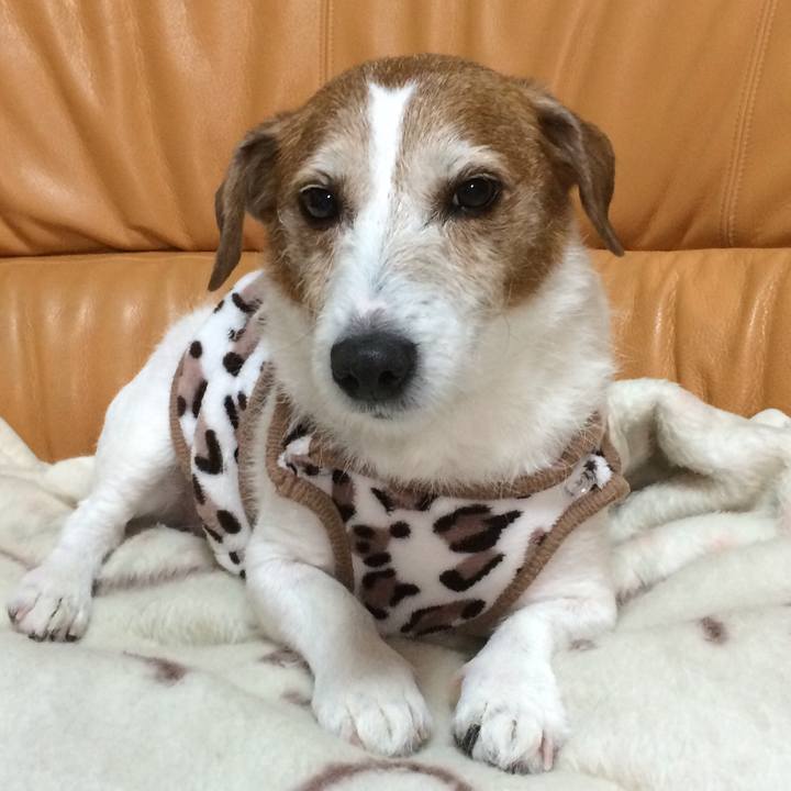 6008deca e8c7 477b bd91 e6ff013370cf