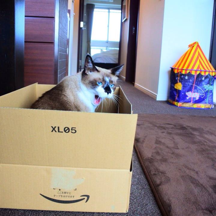 6008e2bb a801 4385 aada dd99ec92d6ef