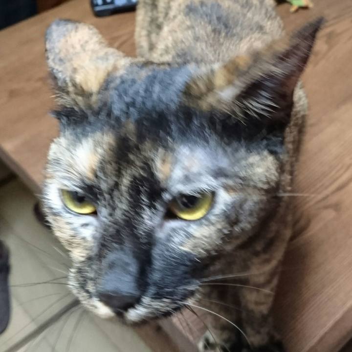 6008f9a6 4c1c 48fb 9757 9ae68a270ab7