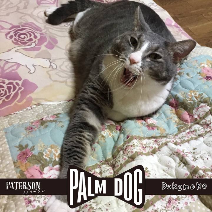 60094ac7 d25e 4e3e 86c2 0bc046874ea9