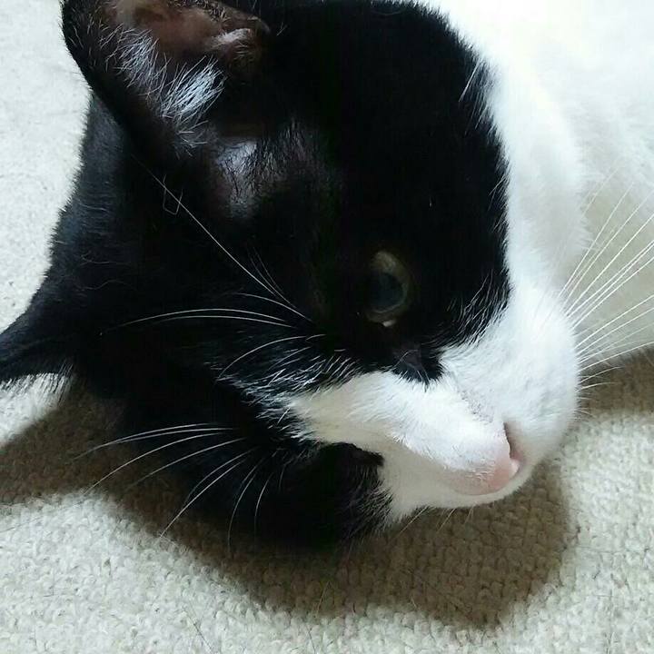 600956b5 cec1 46ed 8035 02b892f5e97b