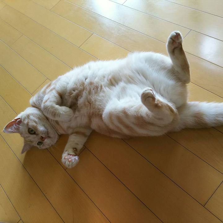 600a527b df38 4531 81d1 57d360ceba8b