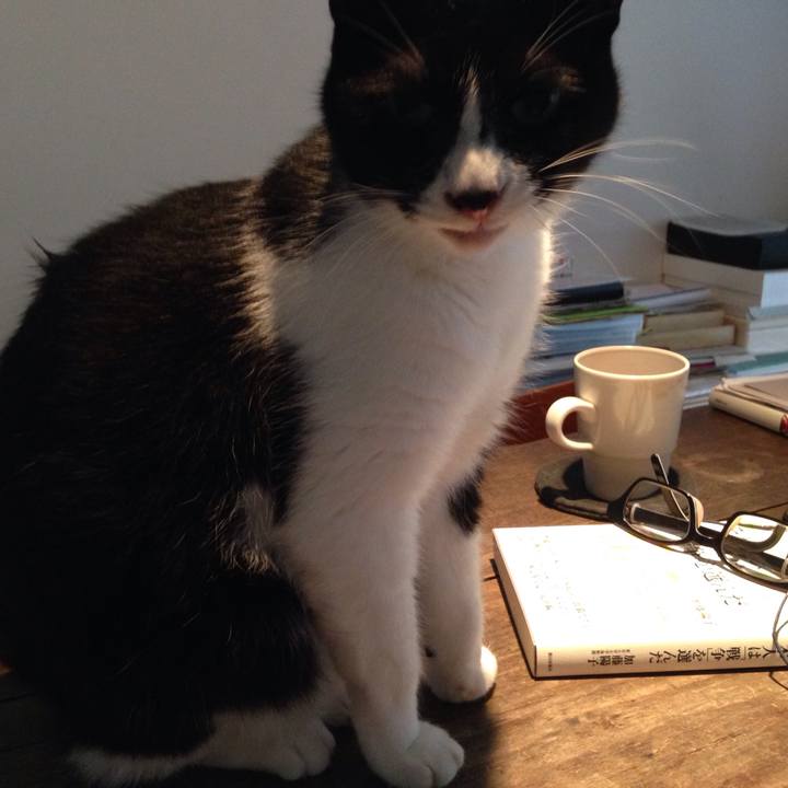 600a54d7 2770 41ae bd29 c47f5bff3343