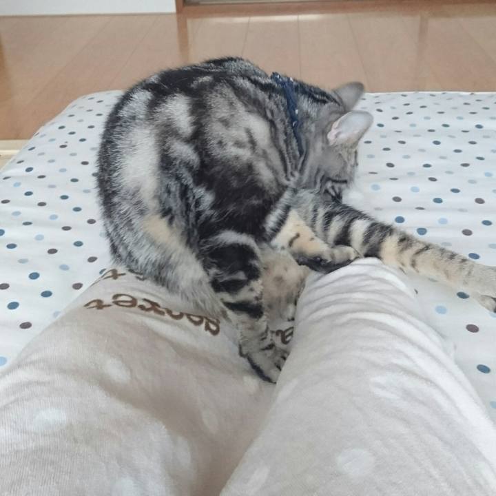 600a6276 6eda 43c9 8026 6c6b81f0640c