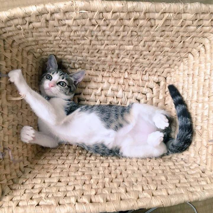 600a8a3b 8e03 49d2 87c2 09a965a3dbdc