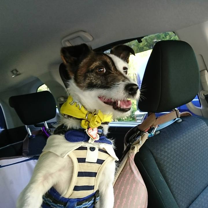 600ba7c7 c83c 4147 934b 07bff64435fd