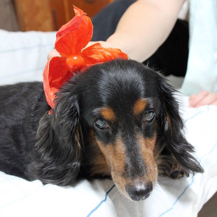 600bbab4 c227 46f3 977d a40fd8c92e9f