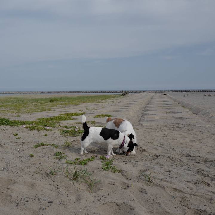 600bbe0c 7c1b 42aa 9220 c8ce0a190c3a