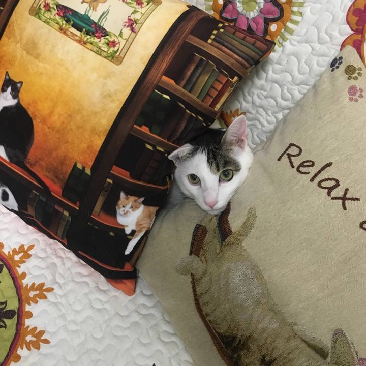 600c073c 2023 4229 b723 76f6c9da2a65