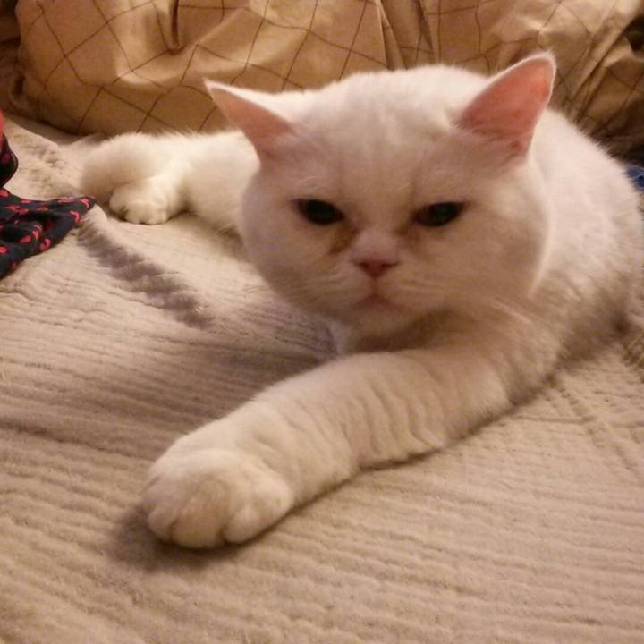 600c1c3a 3c2f 426f b9be 9b8723b5c7d5