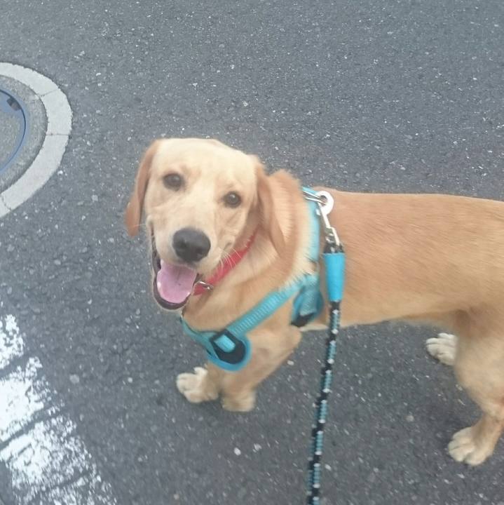 600c1df0 50d2 4eed ae2a 6517c4a87a8c