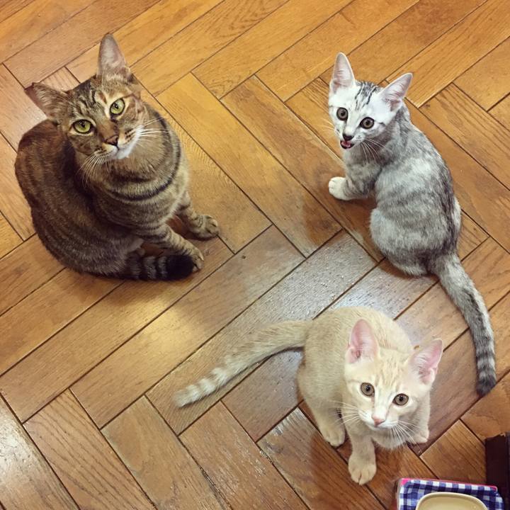 600c559d f795 47b0 8127 2a1527d5fa79