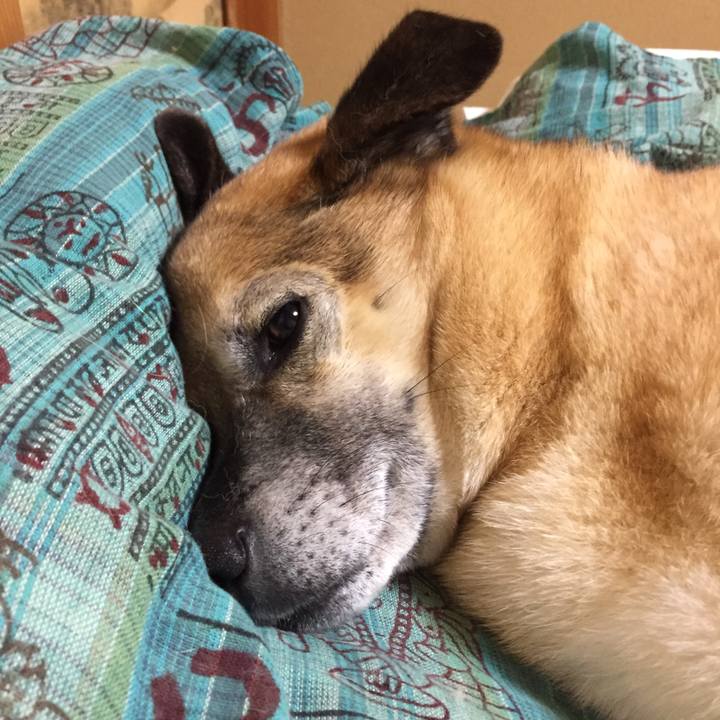 600c6ef5 6fa1 4f67 a31a 1c62aeb39c62